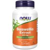 Boswellia Extract 500 mg Softgels