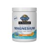 Eco Supplements - Dr. Formulated Magnesium Powder - Orange
