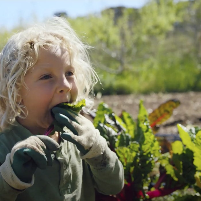 Dr. Formulated Probiotics - Probiotiki za ženske za vsakodnevno uporabo, 30 kapsul - slika 2