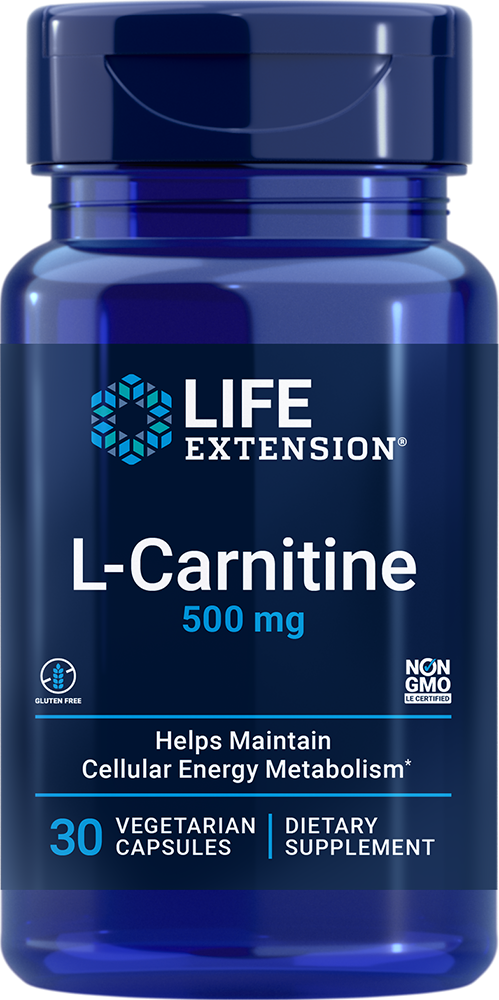 Eco Supplements - L-Carnitine