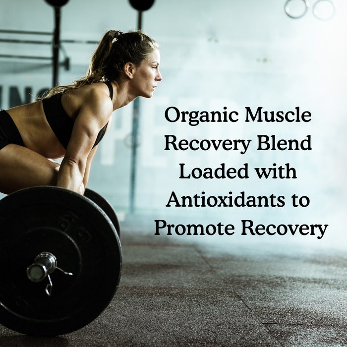 Have af Livet - Športni ekološki rastlinski proteini, vanilija - 806g - slika 6