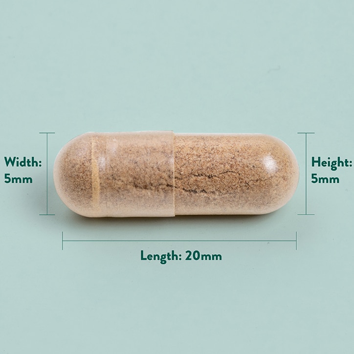 Holland & Barrett - Ginkgo Biloba maksimalne moči, 120mg - 100 kapsul - slika 4