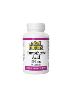Natural Factors Panthothenic Acid 250 mg (90 Capsules)